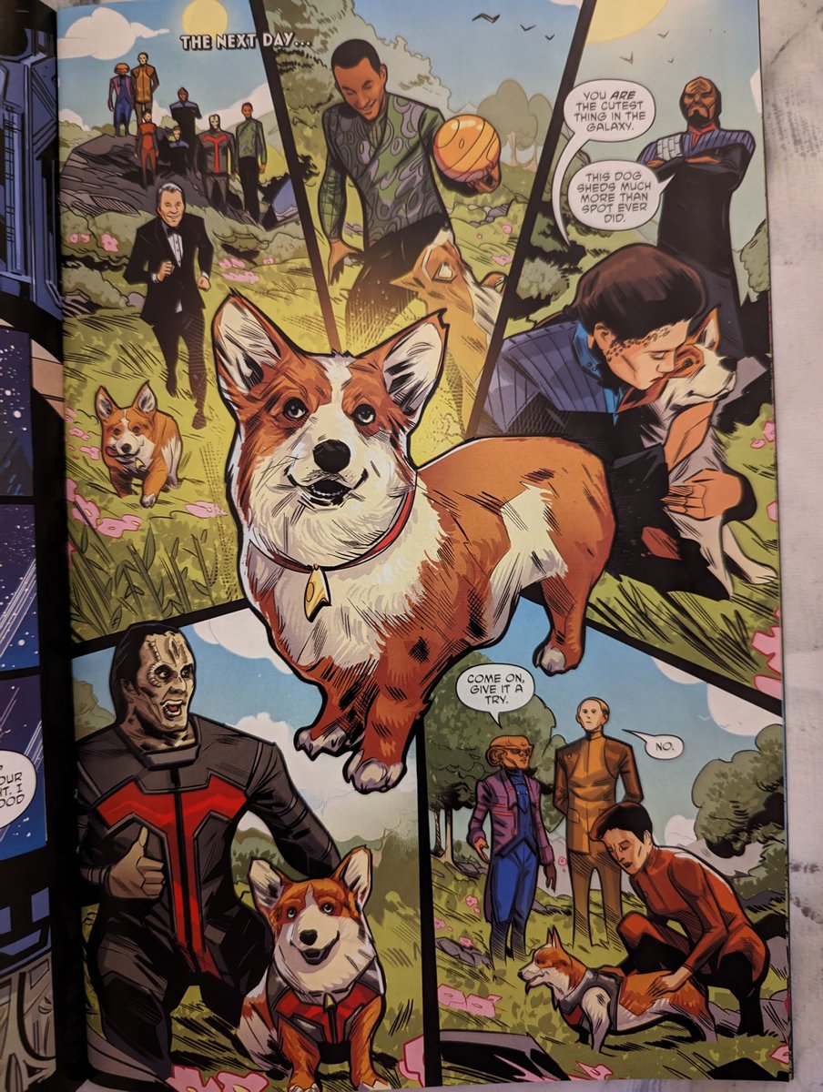 I'm reading this fun, limited run of DS9 comics called 'Dog of War' that takes place in Season 6. Quark gets a dog named 'Latinum' and it's fuckin great.