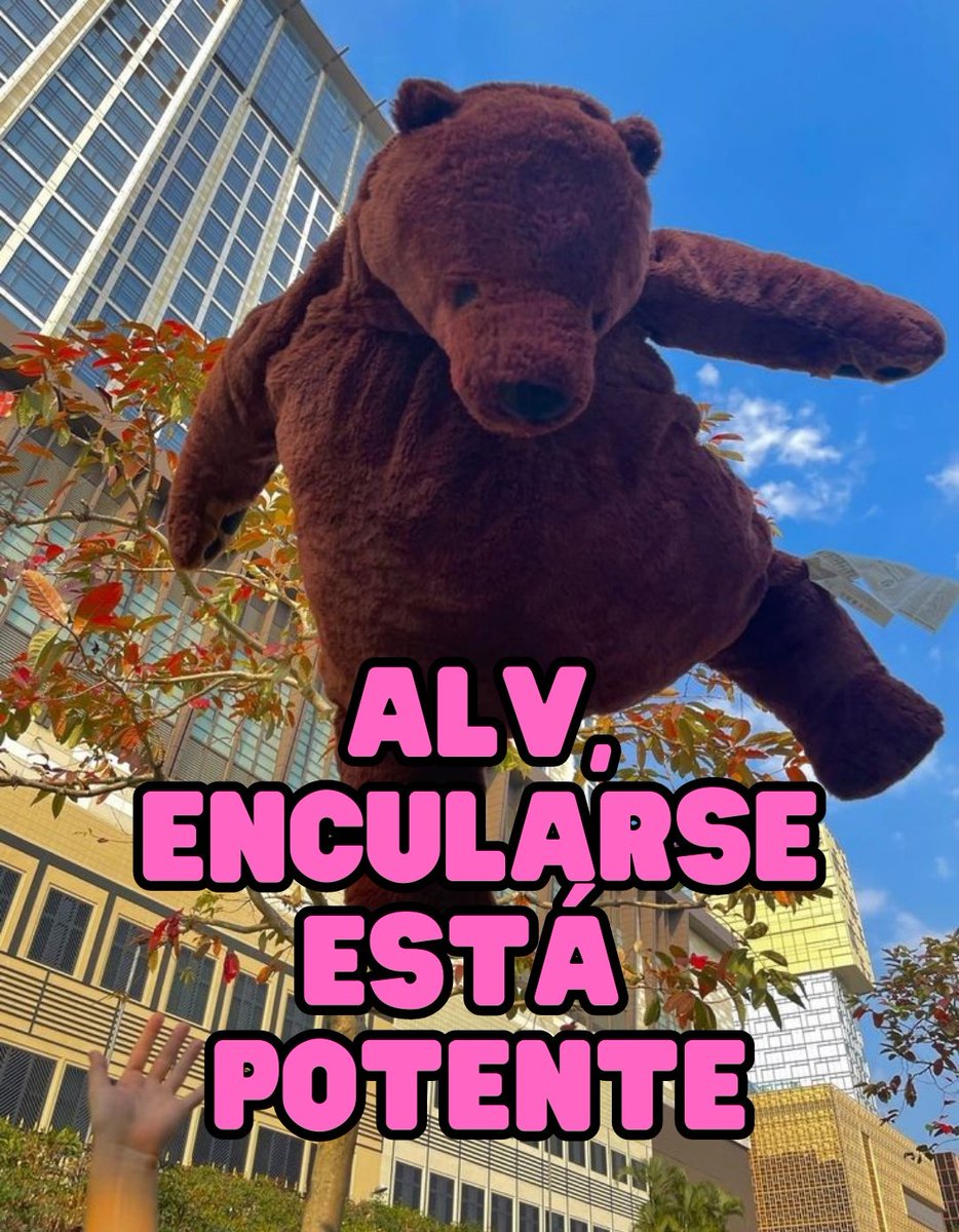 No recomiendo 🧸