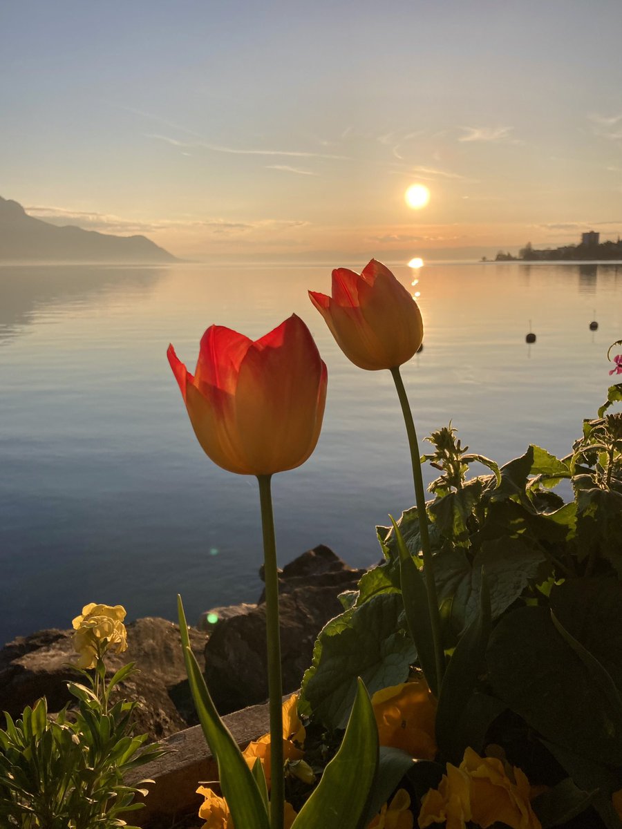 mer et montagnes (@jmfpositive) on Twitter photo 