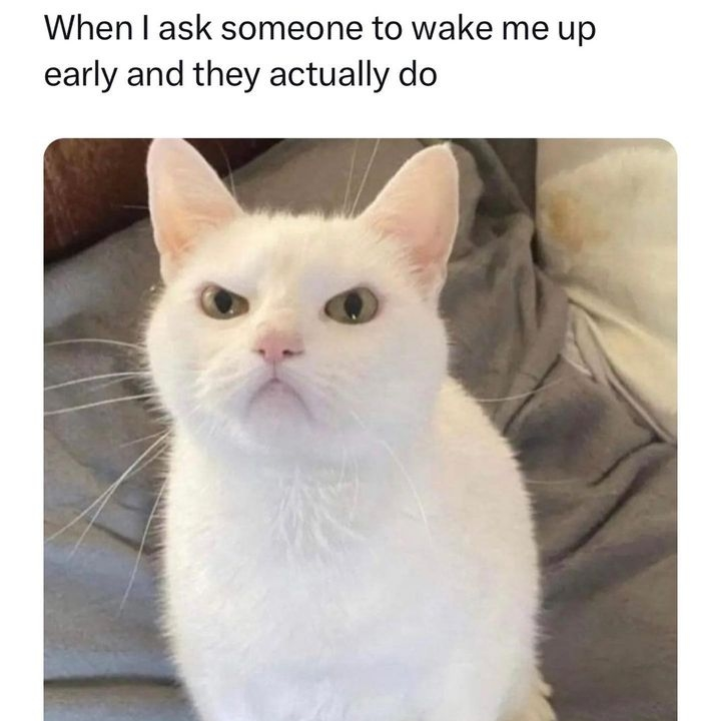 WholesomeMeme's tweet photo. https://t.co/B4PygMZDy6