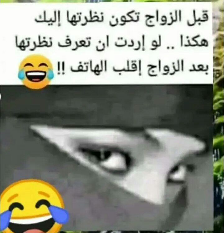 يا ساتر 🤣🤣