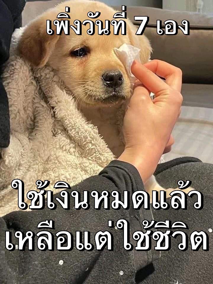 อีกตั้ง 4 ศุกร์แน่ะ ฮรืออออออ 🥹😭