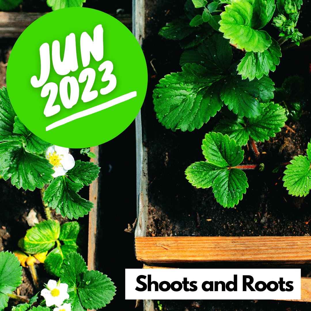 ichingcafe's tweet photo. In June 2023 we're growing and reaching for the light, as the I Ching encourages us to work hard and commit ourselves fully to our goals. And, we can tap into a higher level of awareness on an issue that may have been unclear before now. https://t.co/CLtuNA0XHp #iching https://t.co/trfoZH5iIt