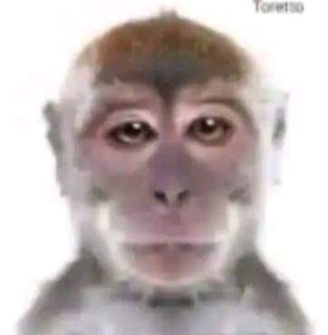 444 (@ju444ni) on Twitter photo 