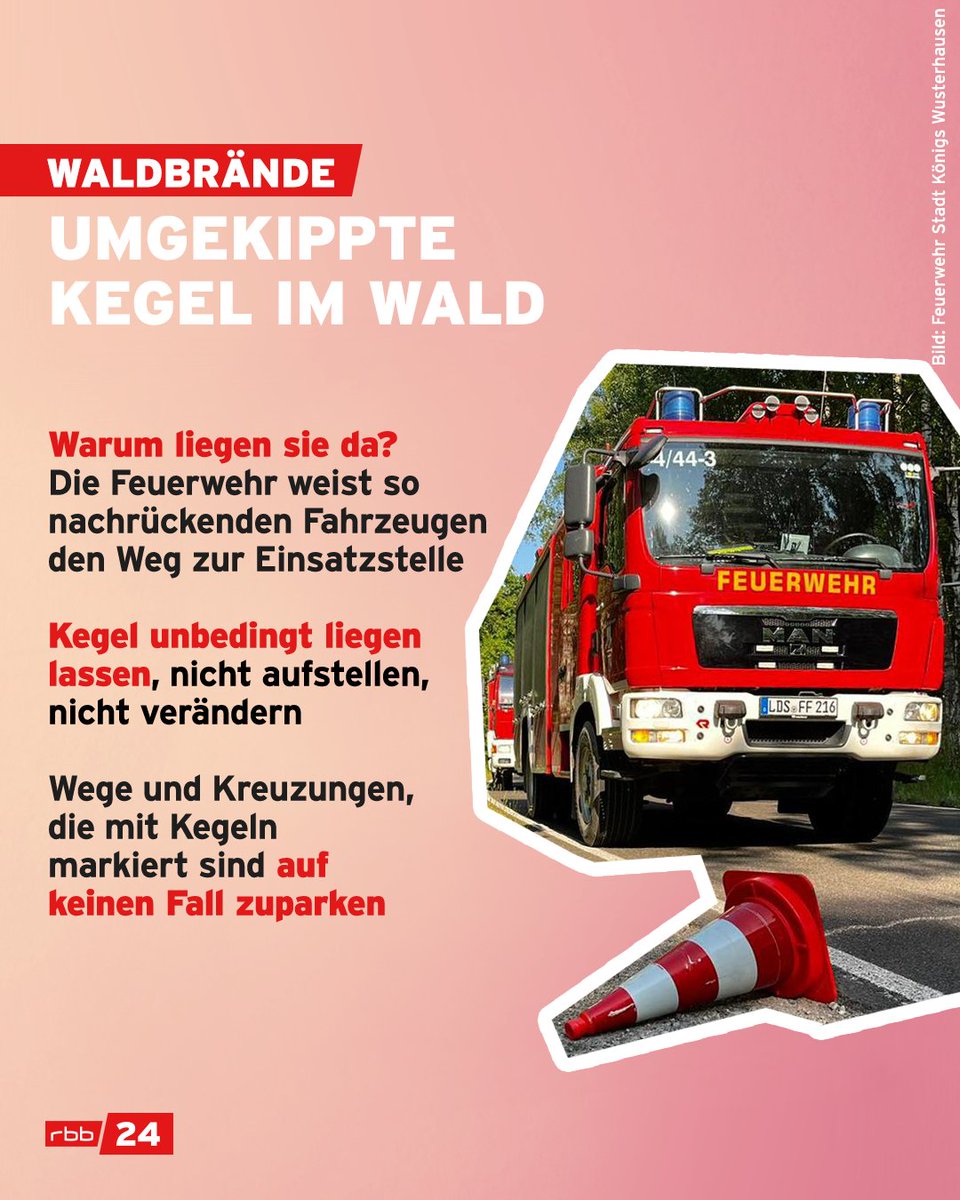 Gut gemeint, aber bitte nicht machen: Umgekippte #Verkehrskegel am Wegesrand sollten auf keinen Fall wieder aufgestellt werden. Mit den Kegeln weist die #Feuerwehr bei #Waldbränden nachrückenden Einsatzfahrzeugen den Weg zur Einsatzstelle.
#brandenburg #waldbrand #pylonen