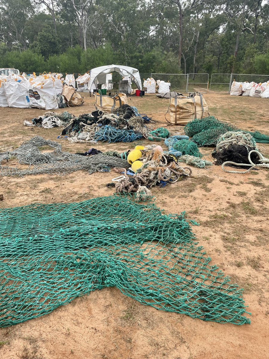 Grace Nye-Butler tweet media