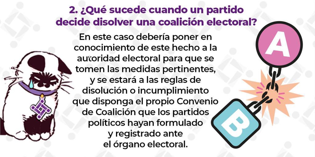 OscarDanieliec6's tweet photo. ¿Existe la posibilidad legal de que una candidatura decline en favor de otra durante un proceso electoral?#Galaiec te explica este importante tema 👇🐈 https://t.co/ZKF3y5rhur