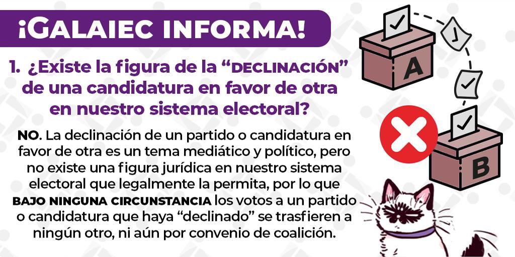 OscarDanieliec6's tweet photo. ¿Existe la posibilidad legal de que una candidatura decline en favor de otra durante un proceso electoral?#Galaiec te explica este importante tema 👇🐈 https://t.co/ZKF3y5rhur