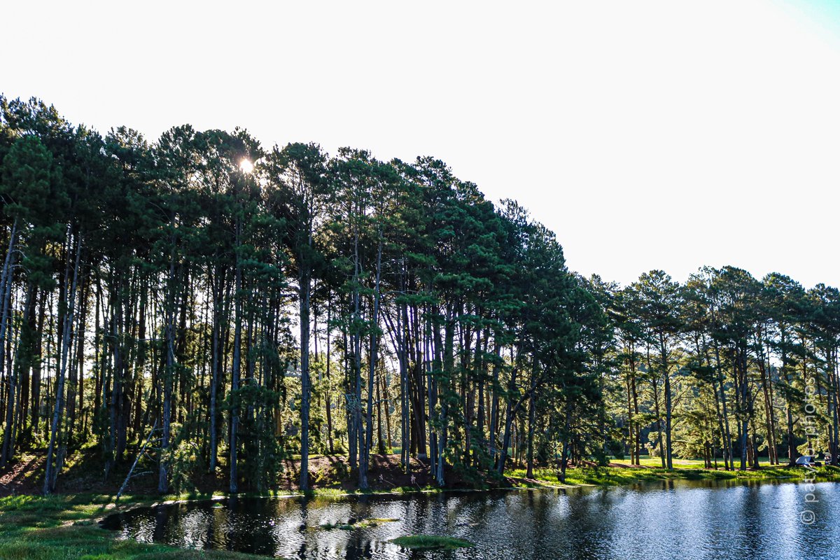 patysrp's tweet photo. Represa Perimbó, Faxinal do Tigre/Petrolândia SC

#trip #passeioemfamilia #poraiem4rodas #natgeobrasil #natgeotravel #canonbr #canonzoomin #canonzeira #fotografia #photography #natureza #naturephotography #represa #santacatarina #santaebelacatarina https://t.co/fhJvTCZ2pu