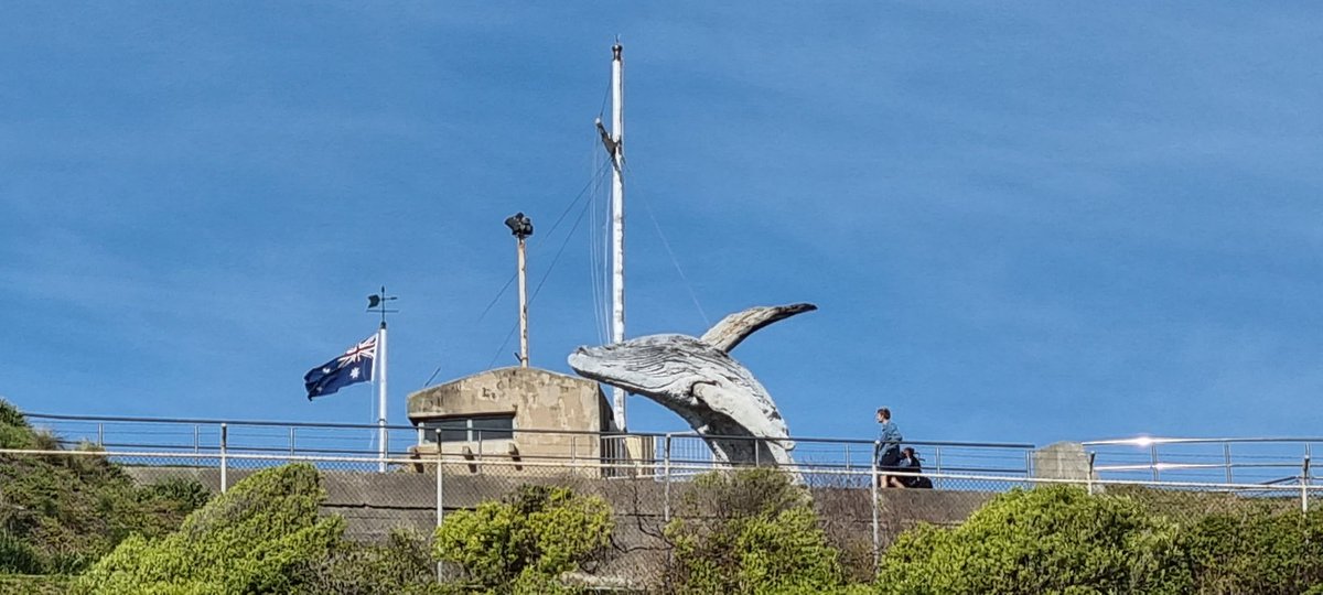JMcK2018's tweet photo. Newcastle has been voted top NSW tourist destination ๐ I'd agree with that...
#DestinationNSW
Breaching whale at #FortScratchley
#NobbysBeach https://t.co/uAoBoCdZfD