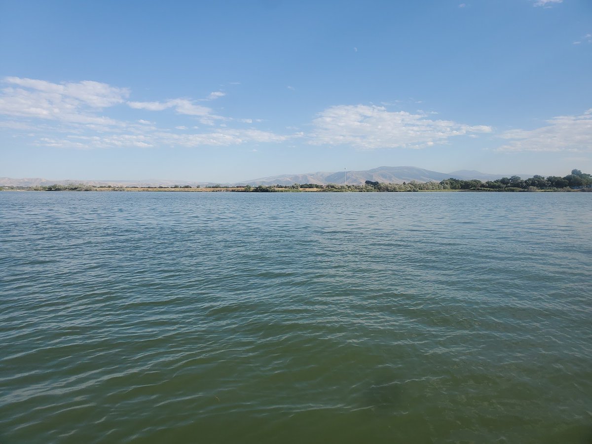 New town every hour on Twitter "Burley, Idaho Population 16,342