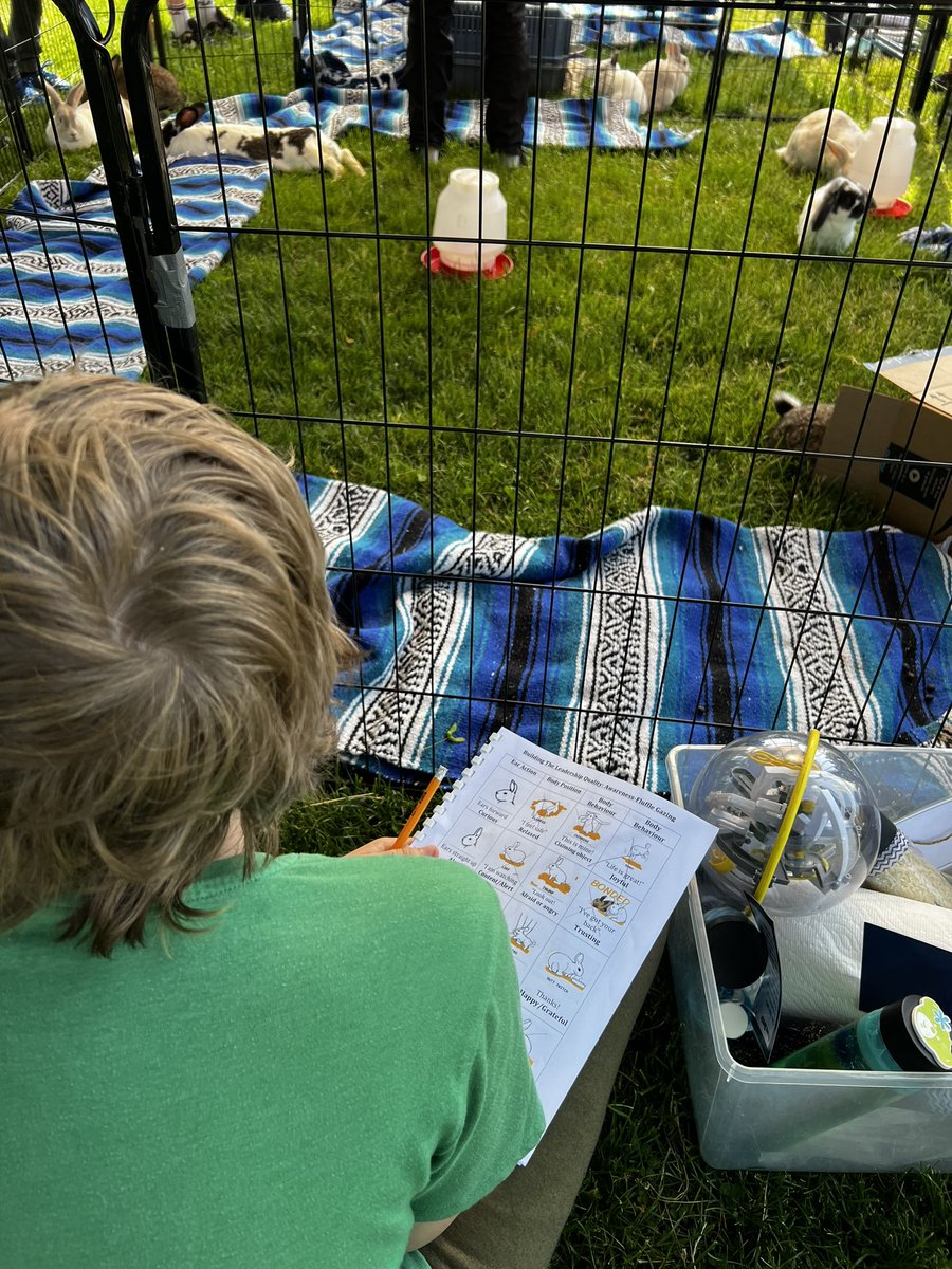 Colin_Hillock tweet media