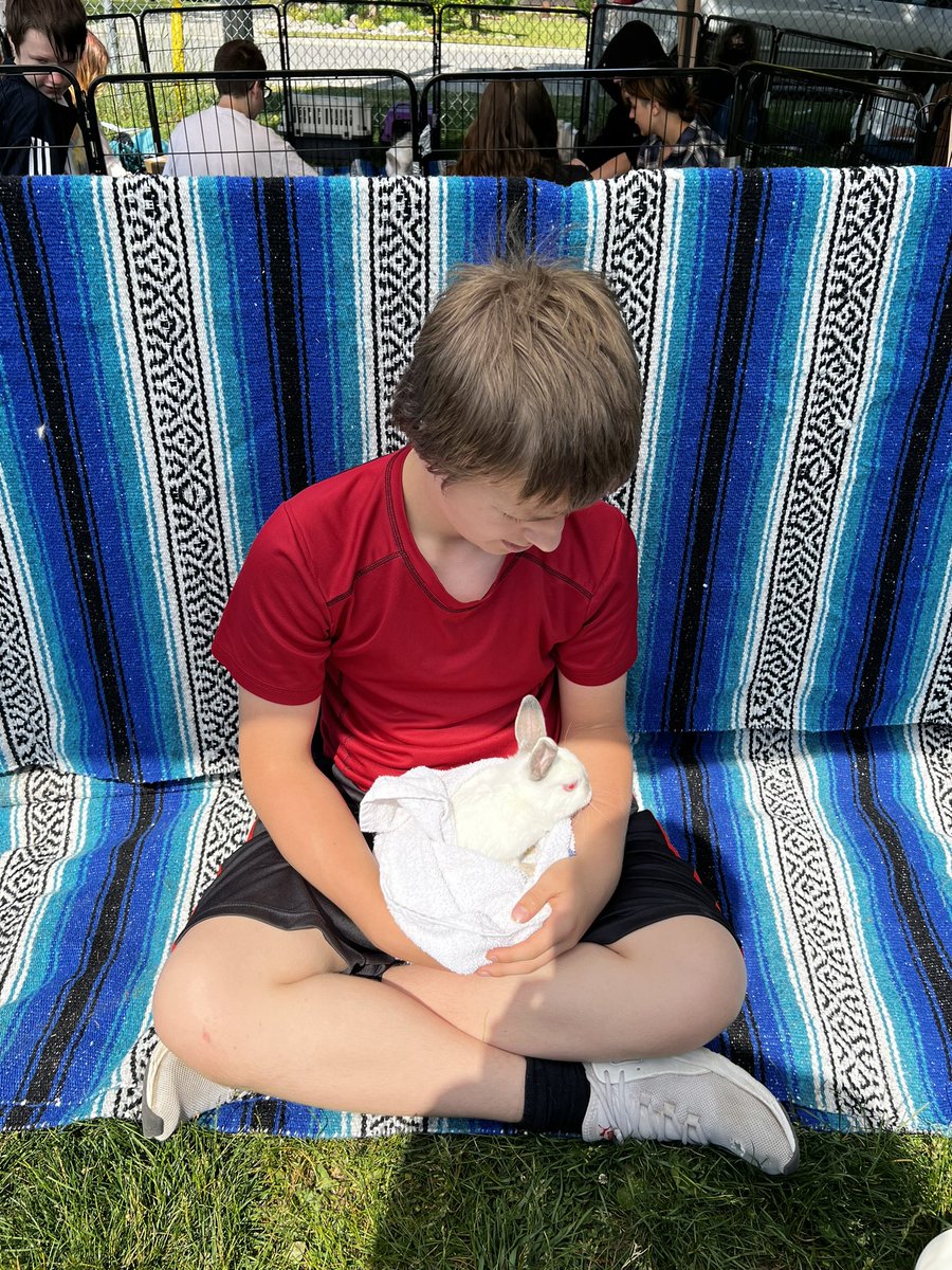 Colin_Hillock tweet media