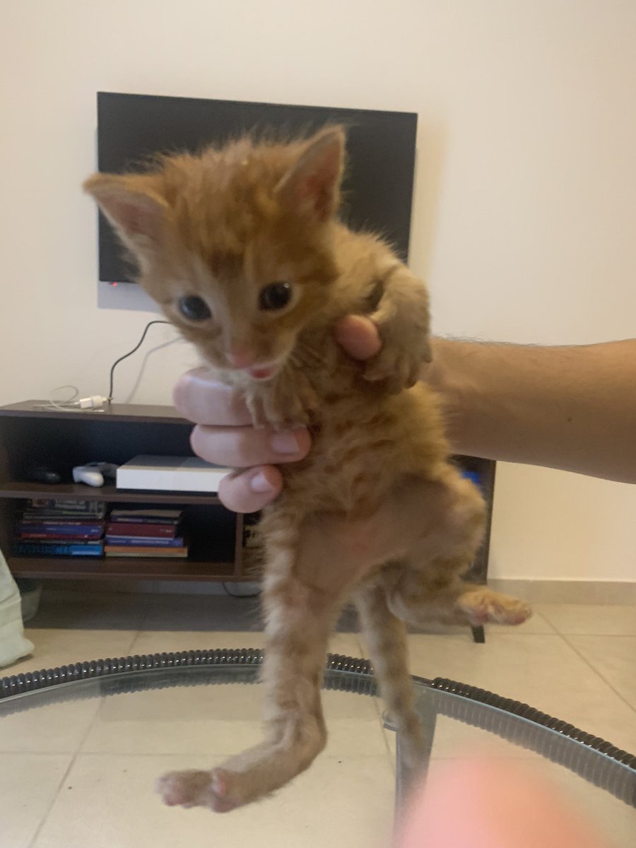 Natalia Ginzo tweet media