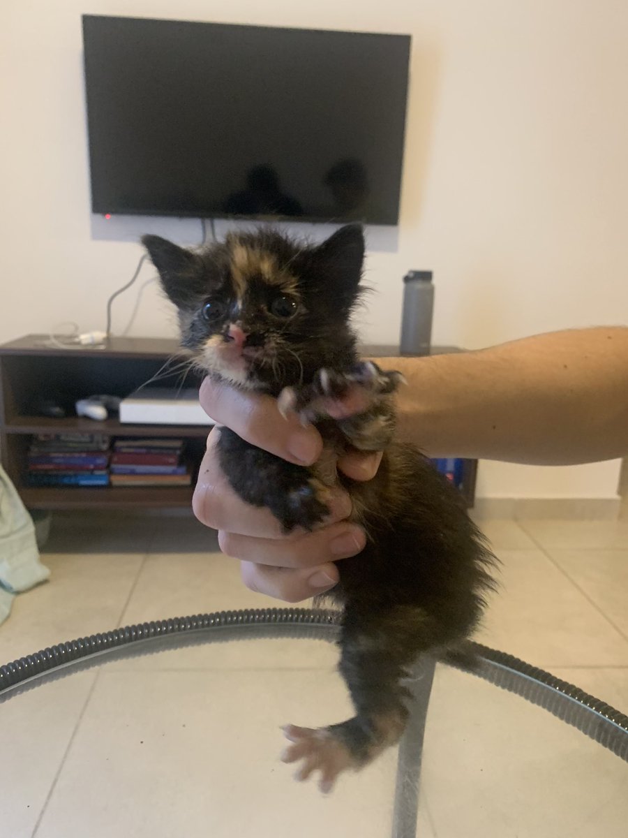 Natalia Ginzo tweet media