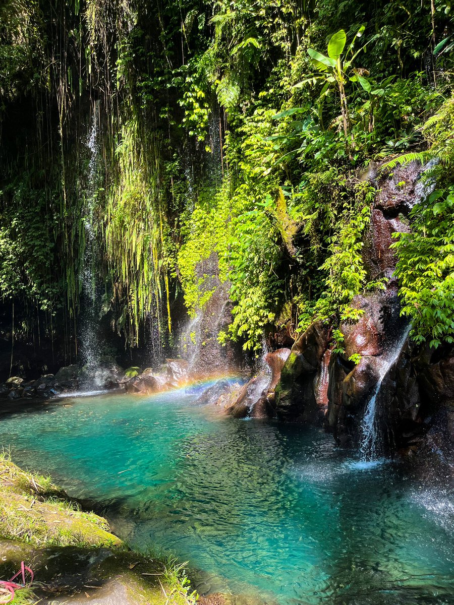 Olipe_oile's tweet photo. Main ke Bhumi Bambu Baturraden di pagi hari memang paling pas buat dapetin foto dengan pelangi 😆

Tiket masuk Rp 25.000 (akses wisata hutan bambu, dan 4 air terjun), sekarang lagi promo cm Rp 15.000 https://t.co/h0wL0W0nH3
