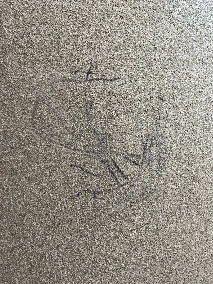 My family and I are leaving Canberra today, which means we’re finally moving the rug which has been covering up my son’s handiwork. Which he did while I was LIVE ON THE AIR with <a href="/adammshirley/">Adam Shirley</a>. Ahhhhh memories.