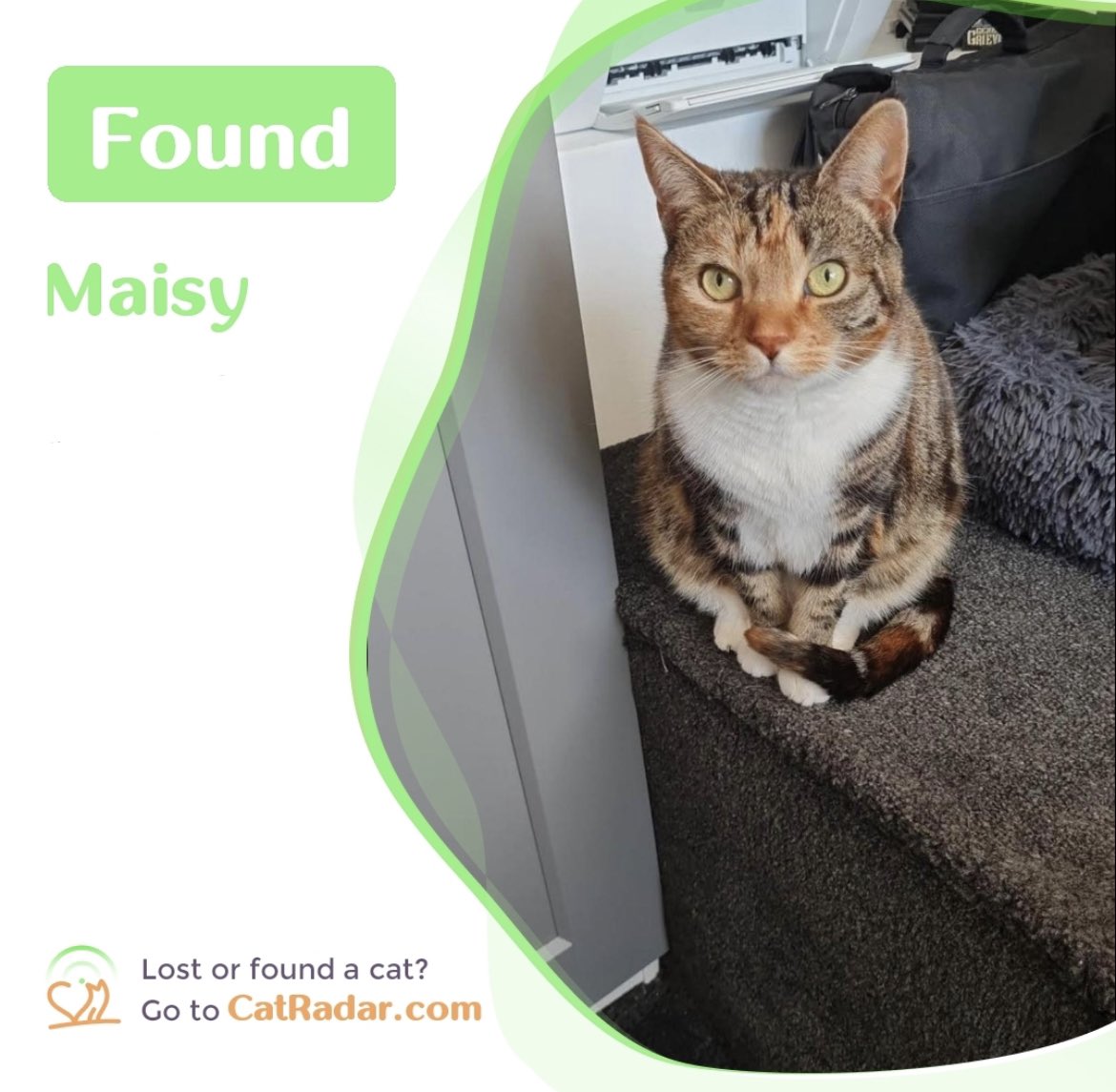 She’s home! Thanks everyone ❤️🥰