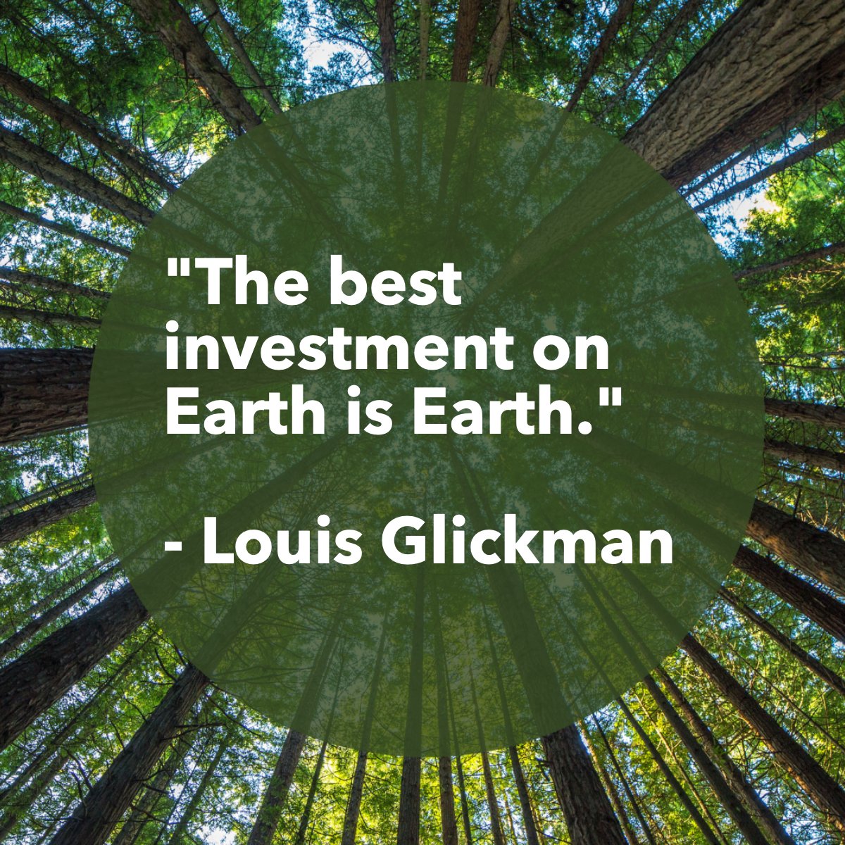 'The best investment on Earth is Earth.'
―Louis Glickman. 🌎

#earthfocus    #earthmover    #investinyourfuture    #saveearth
#cherylcitro