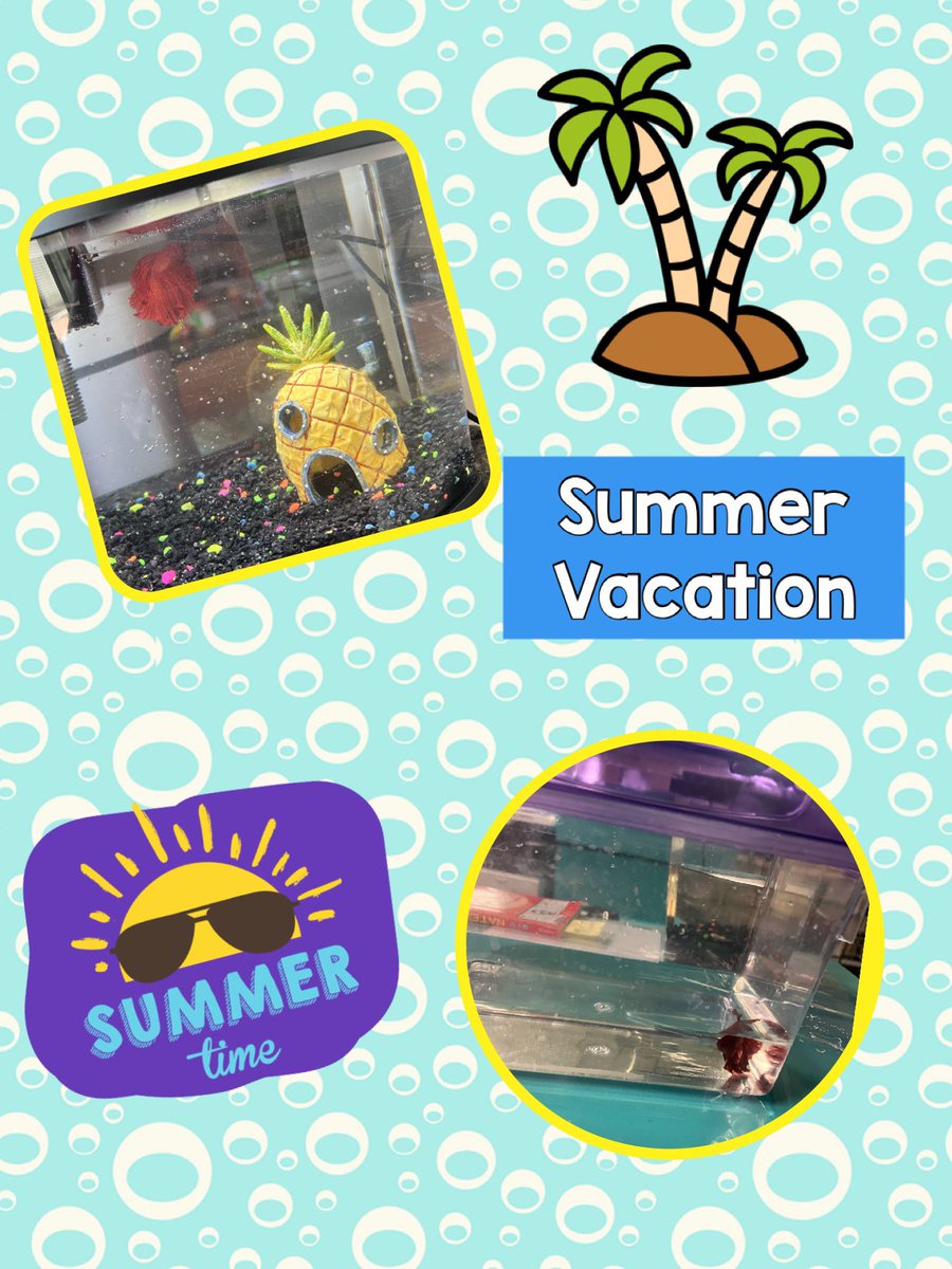 Bubbles is officially on summer vacation at the Luza house. #libraryfish <a href="/BrillKISD/">Brill Elementary</a>