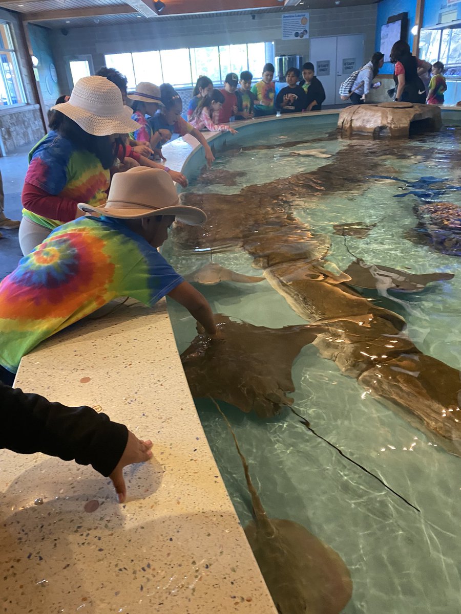 Mrs. Strumph tweet media