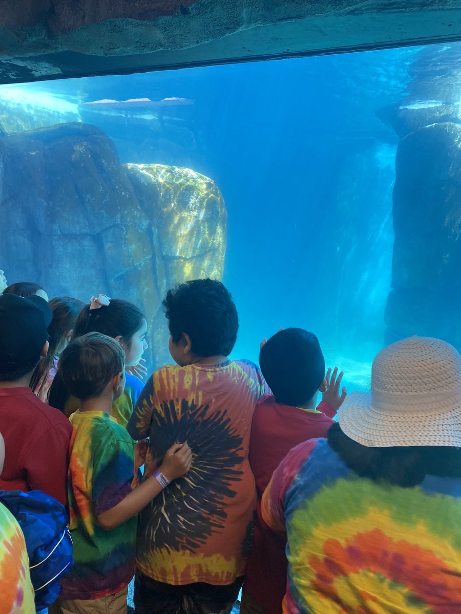 Mrs. Strumph tweet media