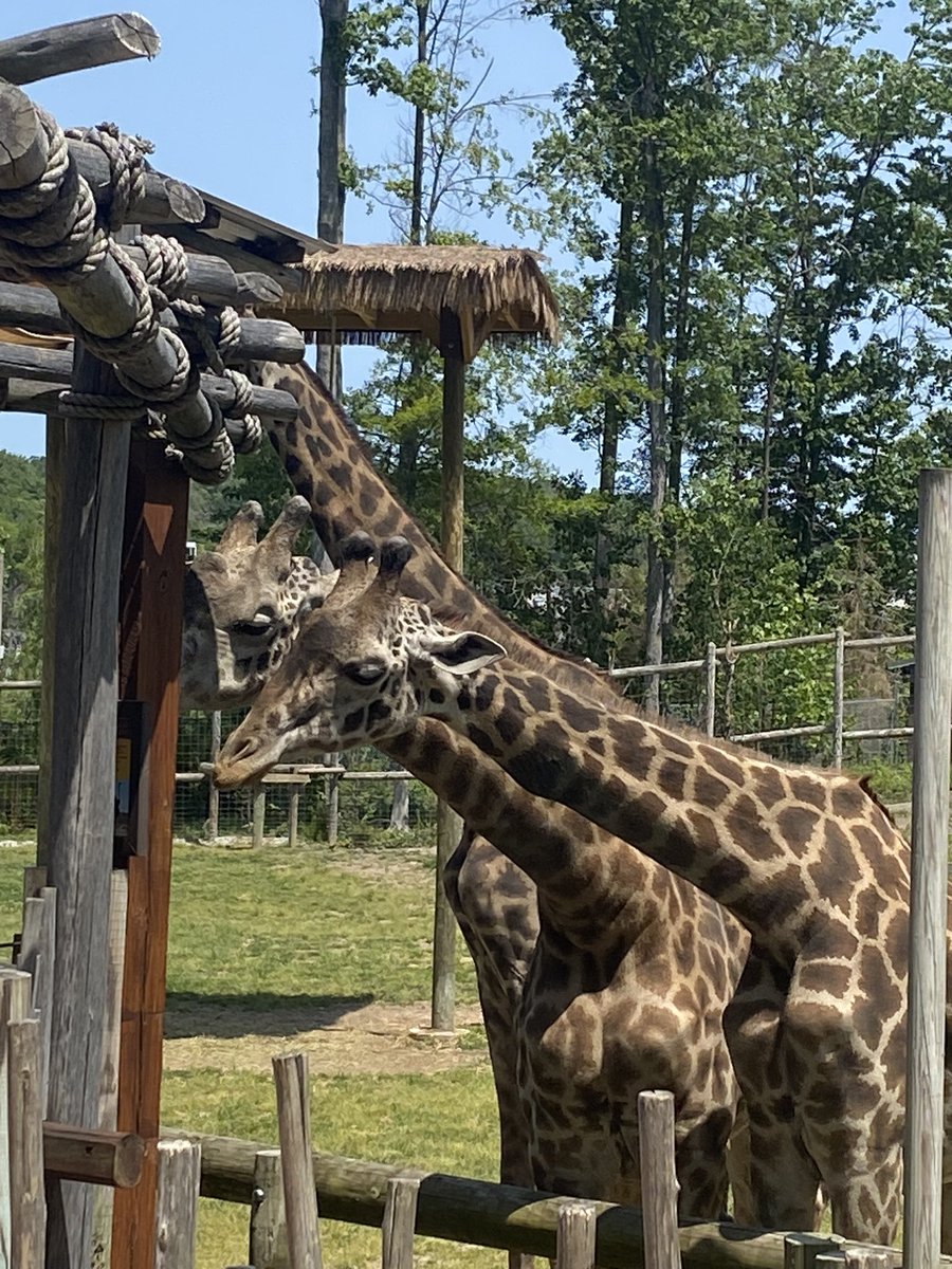 Mrs. Strumph tweet media