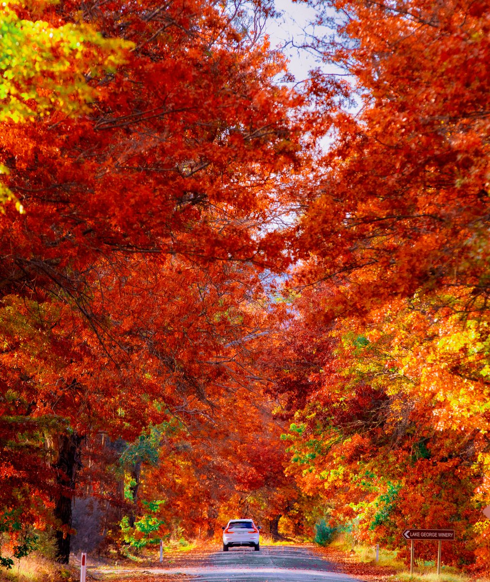 Farewell Autumn 2023!

🍁❤️🍂🧡
.
.
.
#lastdayofautumn #goodbye #autumn2023 #besttimeoftheyear #cbrregion @visitcanberra #bestseason @Australia