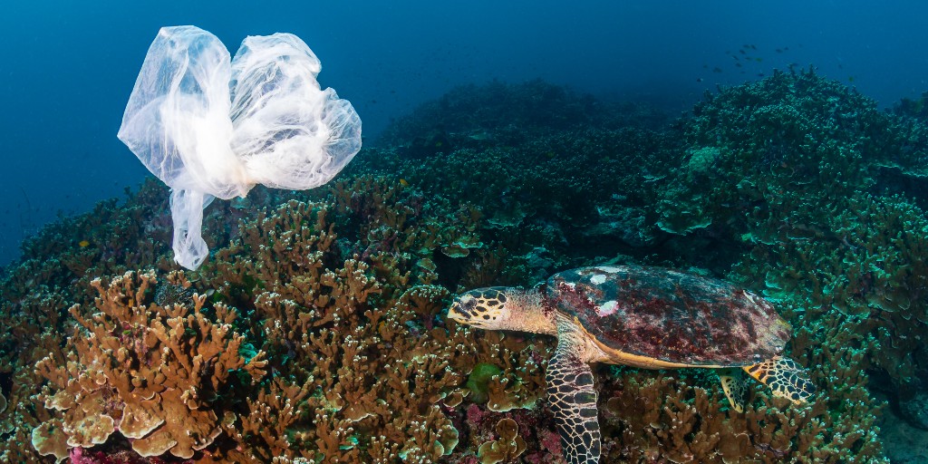 oceana's tweet image. ADD YOUR NAME: Plastics are harming marine life, oceans, climate, and our communities. 🙅 Elected officials must do more to combat #plastic pollution! Use your voice to tell them it's time to #BreakFreeFromPlastic: bit.ly/3C1VcTf 🌏