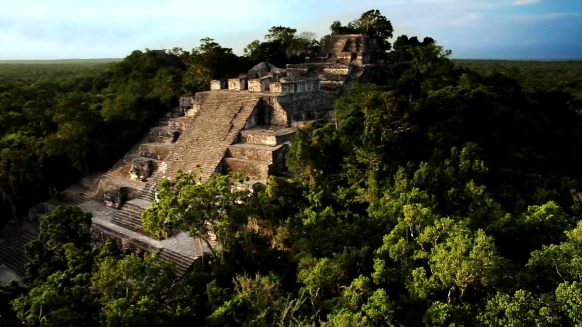 panda_profesor's tweet photo. Calakmul es una de las grandes super potencias mayas del periodo Clásico. Entre los años 200 y 800 dnE esta ciudad floreció y creció enormemente. 
Hoy en día los arqueólogos nos dedicamos a liberar algunas de las cientos de estructuras que la selva ha devorado. https://t.co/GedhnwJR7G