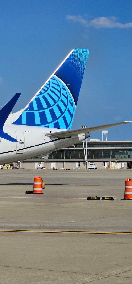 #Tailtuesday #Beingunited