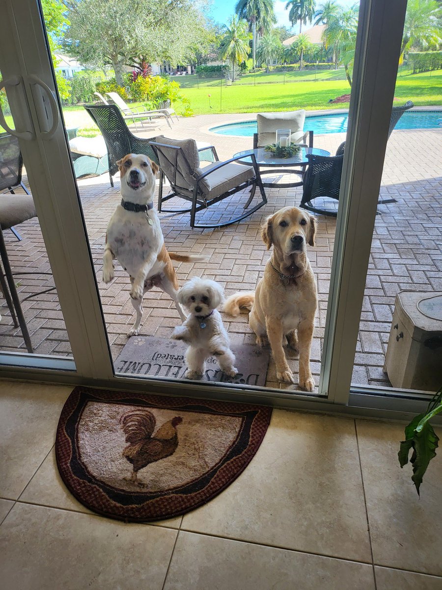 Caryn Rae Robin tweet media