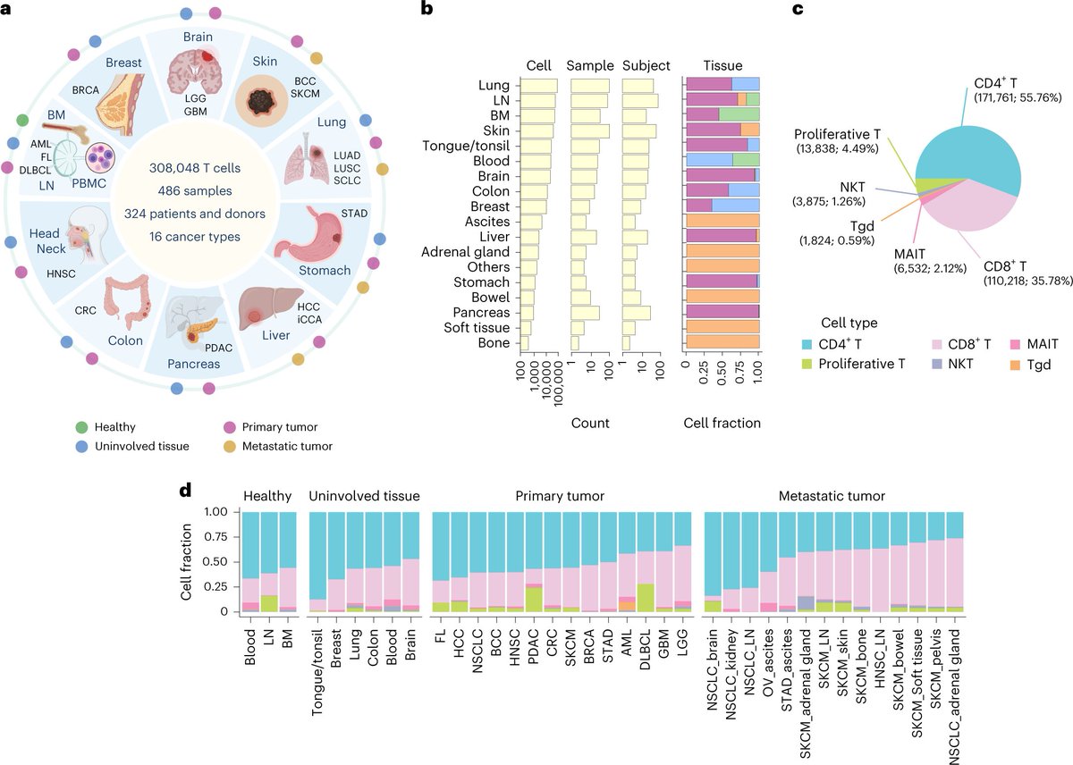 A single-cell analysis of tumor-infiltrating T cells from 16 cancer types identifies new T cell subsets and a stress response cell state enriched in tumors resistant to immunotherapy.
nature.com/articles/s4159…