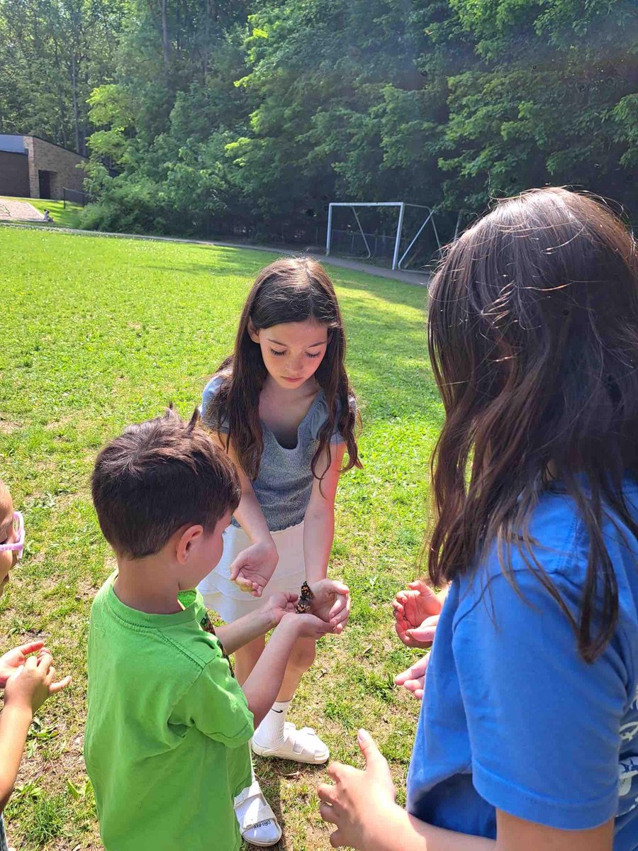 Webber Elementary tweet media