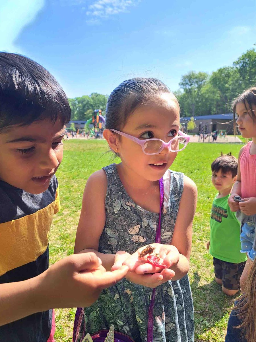 DK butterfly release #alwayslakeorion #webberelementary