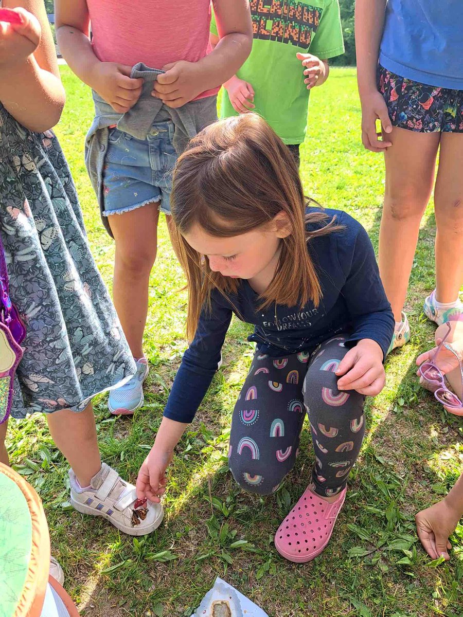 Webber Elementary tweet media