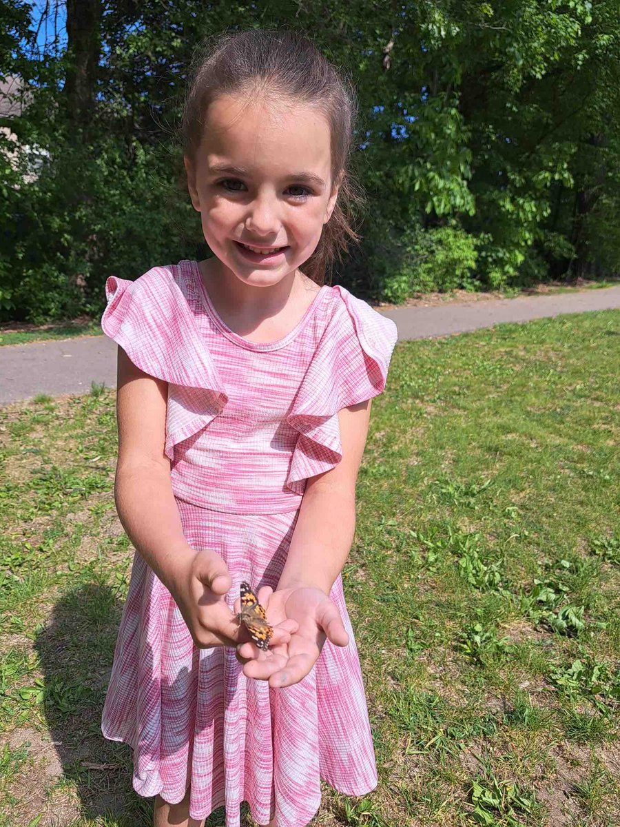 Webber Elementary tweet media