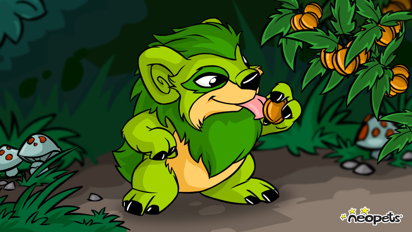 Neopets - New Features