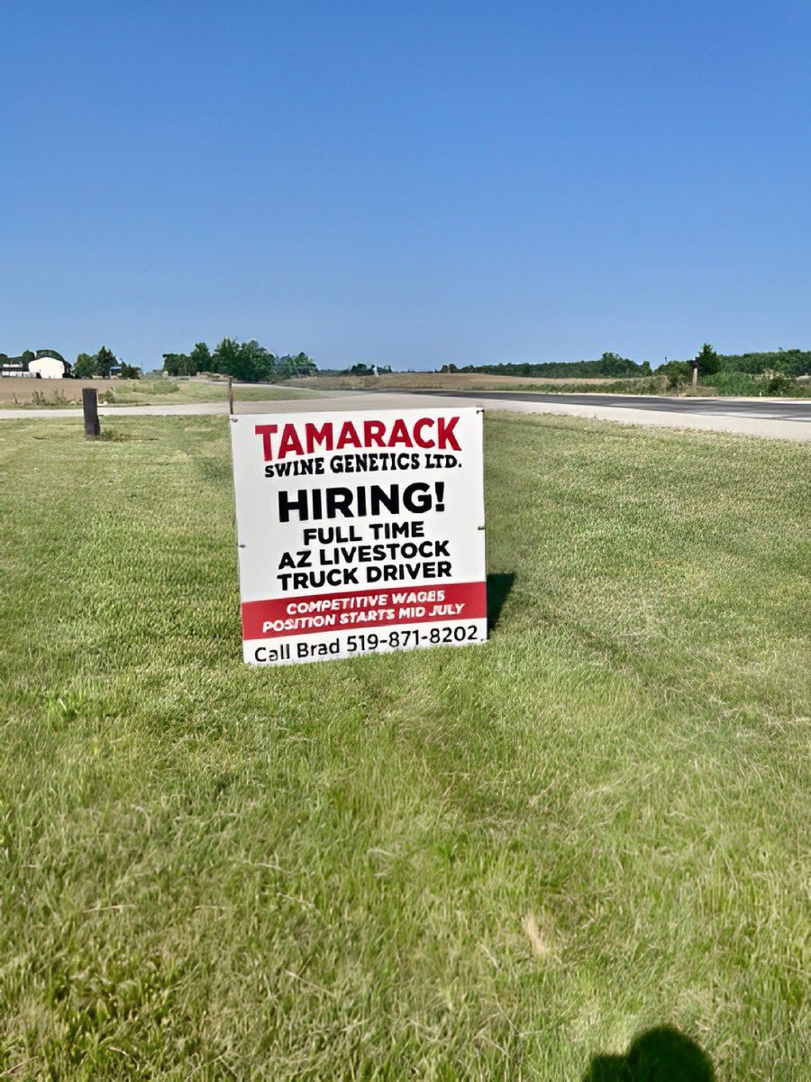 We are looking for a full time AZ Livestock Truck Driver. We offer competitive wages and the position starts mid July. If you are interested call or text 519-871-8202
