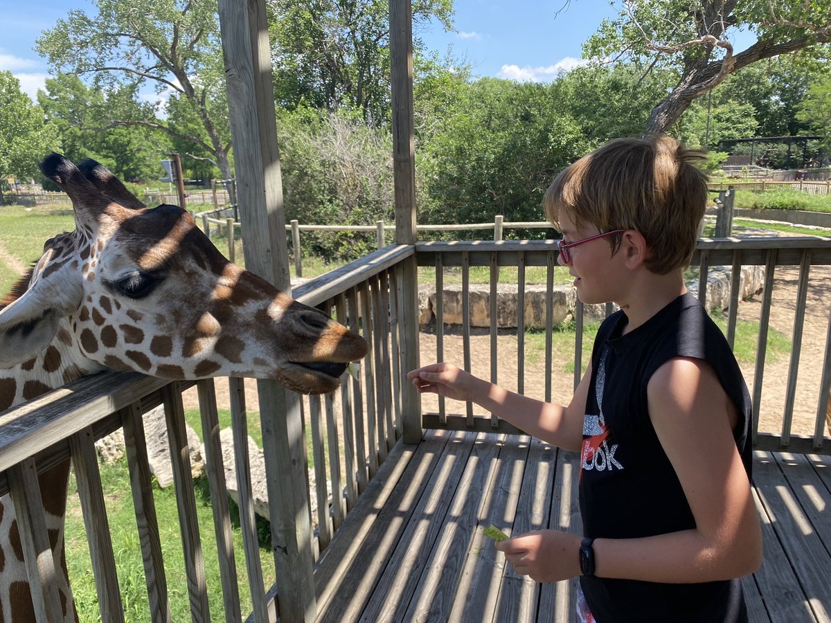 halling_'s tweet image. Field Trip #1 is in the books! Sedgwick County Zoo! Thank you @GovLauraKelly @ksde # SunflowerSummer
