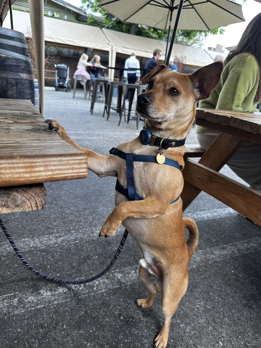 look at his little arm