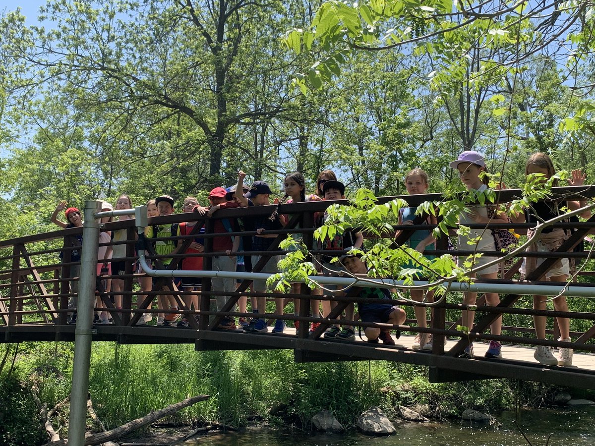 Our visit to Willow Park Ecology Centre was a great opportunity for students to extend their learning on life systems. Ask your child what amphibians and insects they found!