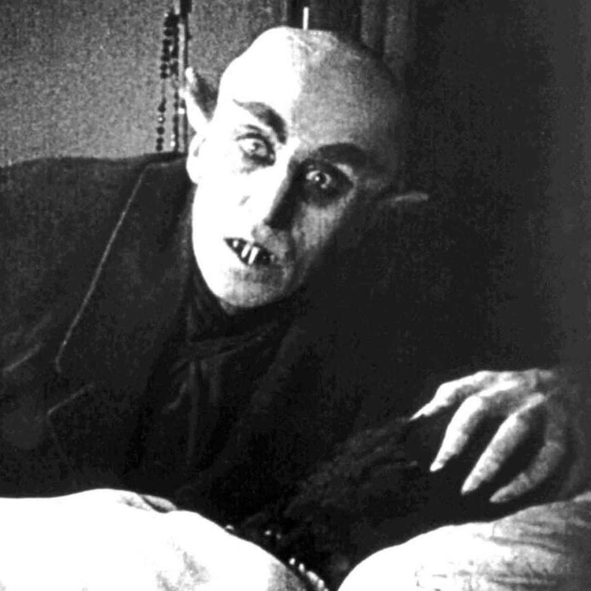 Reel Updates tweet media