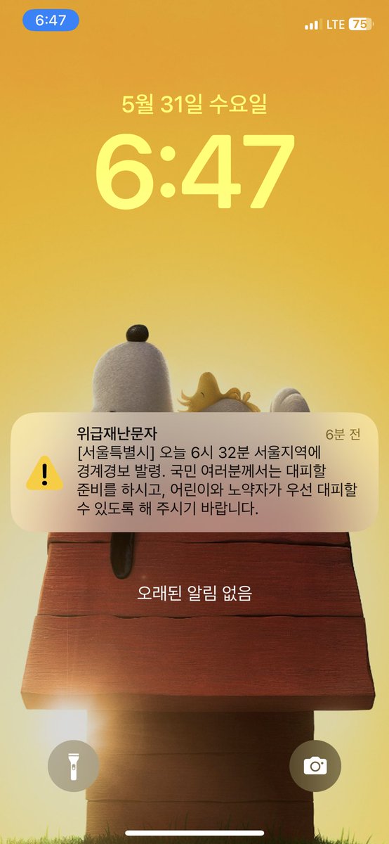 #life 어느날 갑자기 … 대 혼돈의 … …