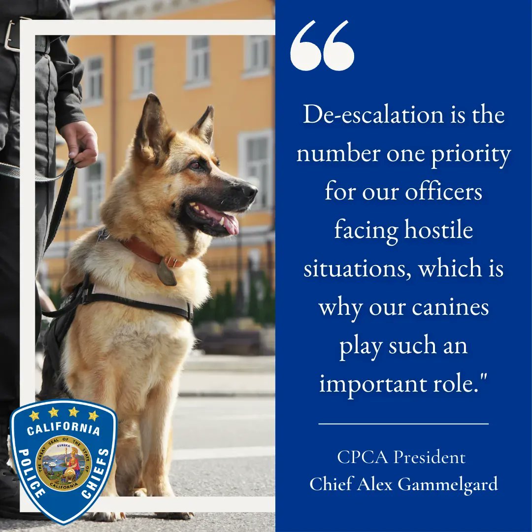 The Assembly is expected to vote on AB 742 in the coming days. This bill would devastate our K9 programs. Now is the time to reach out to your legislators and urge then to vote no! 

buff.ly/3qjJVeB