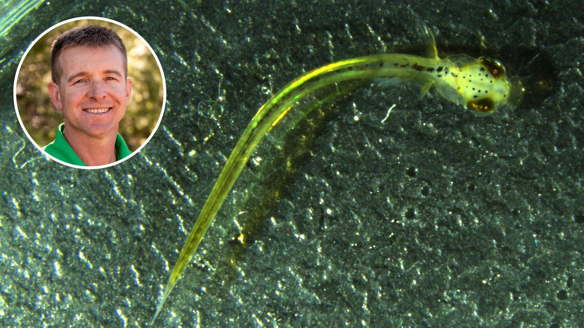 Researchers from @CharlesSturtUni have led a world-first project that ...