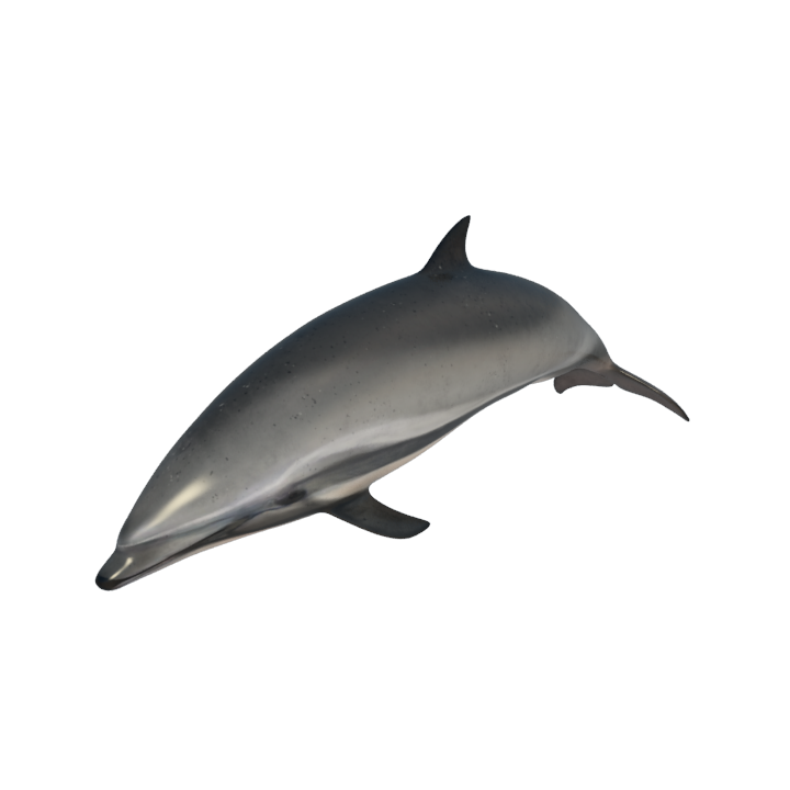 3D Models Render On Twitter Find The Perfect 3D Model For Your 3d-models-render-on-twitter-find-the-perfect-3d-model-for-your