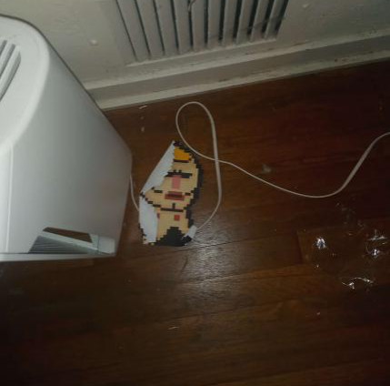 bernardbuzzo tweet media