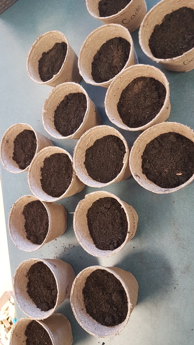 Planting season has approached! The students planted some flower seeds in their own personal pots. What a great learning opportunity to see and understand first hand how things are grown.