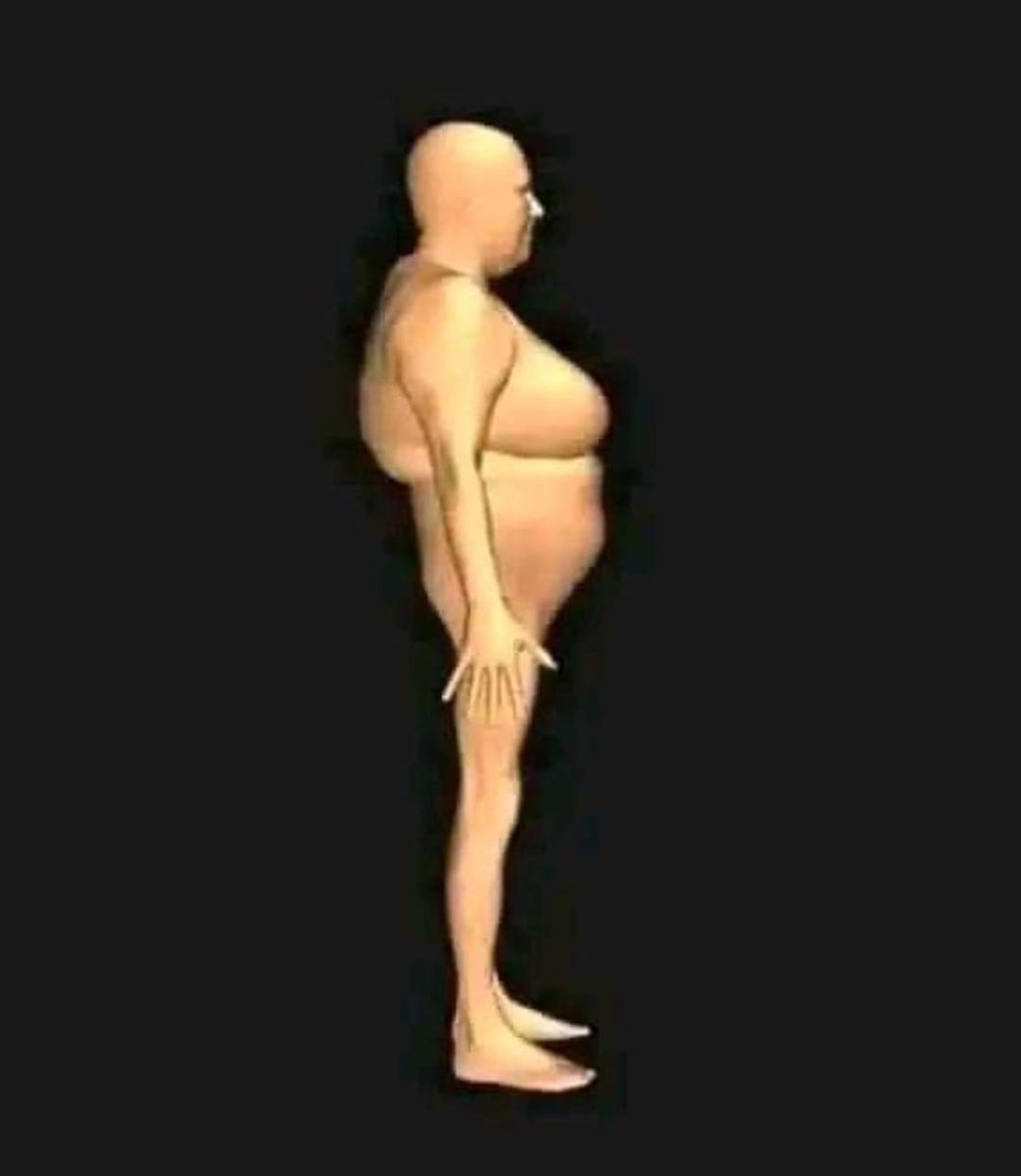 All riches people body type: